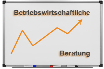 Betriebswirtschaftliche Beratung Bonn
